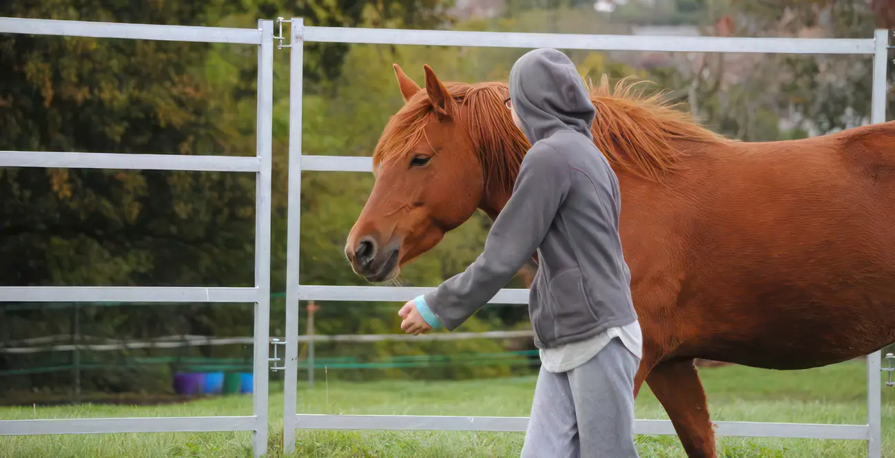Bodster CIC horse and person with hoodie