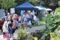 People milling around on Ventnor Day in Ventnor Park by Eloise Preston