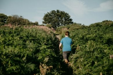 A Rambler walking through a green area on the Isle of Wight