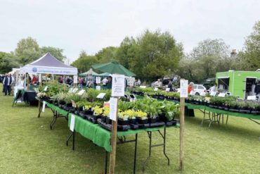 Garden stalls at the Gardening Galore event