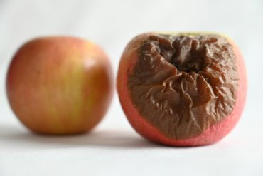 good apple and rotten apple