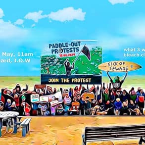 paddle out poster for 18th may - illustration of people onthe beach waving flags and banners protesting at sewage pollution