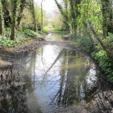 Blackwater cycle track flooded