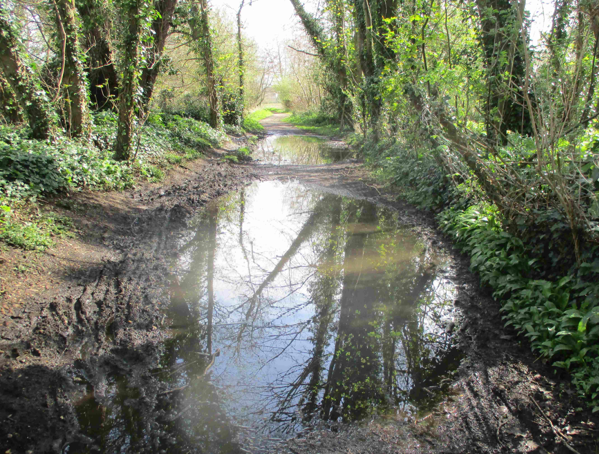 Blackwater cycle track flooded