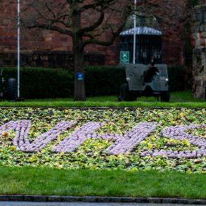 NHS spelled out in flowerbed
