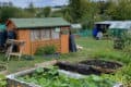 Network Ryde allotment