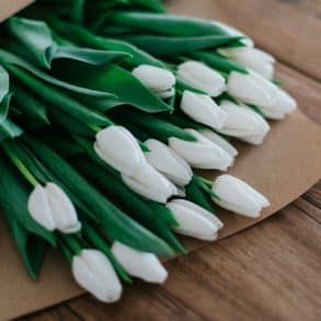 White tulip flower bouquet