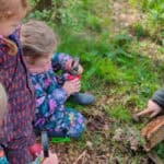 Children exploring woodland as part of forest school