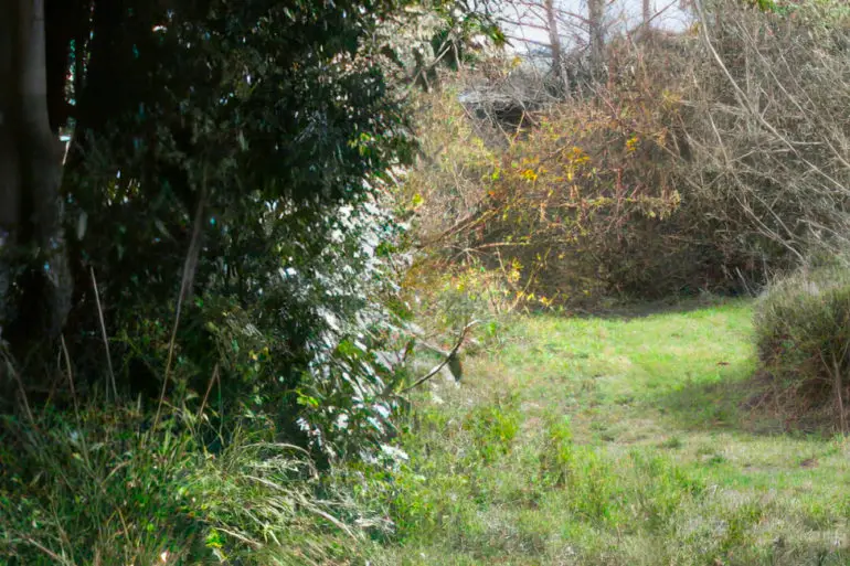 Riboleau Community Garden