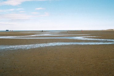 low tide sands at ryde beach