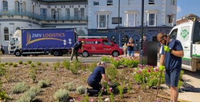 summer flower displays being planted in ryde