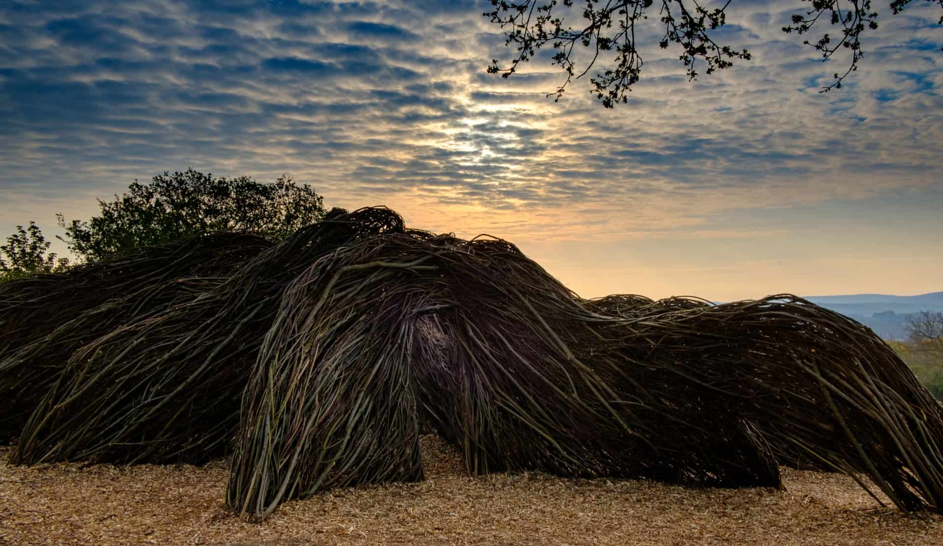 Golden Hill Park willow sculpture
