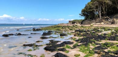 Beach scene from the Isle of Wight