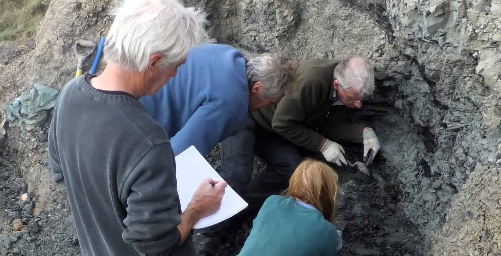 Excavation in 2013. Nick Chase (in the foreground sketching), Steve Hutt (blue jumper), Jeremy Lockwood (wearing gloves), and Penny Newberry.