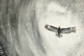 Painting of a Buzzard circling in the sky by Caroline Underwood