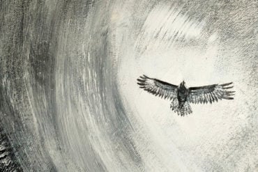 Painting of a Buzzard circling in the sky by Caroline Underwood