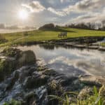 Flowers Brook with the sun setting