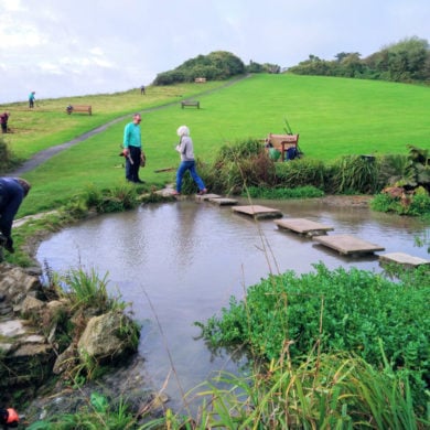 Ventnor Enhancement Fund voluntary gardening work