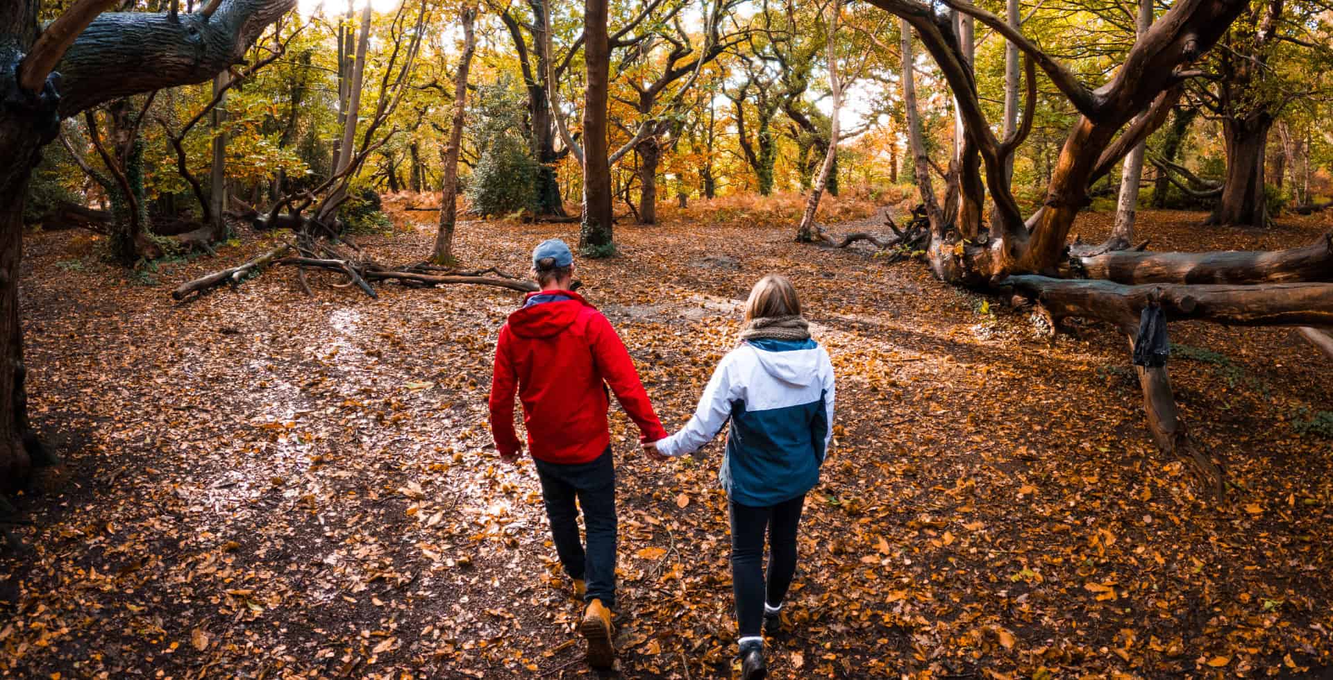 Couple holding hands walking through woodland