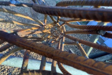 Looking down in the middle of the sculptured trees