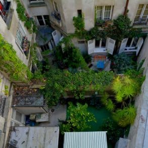 French apartment block with lots of plants