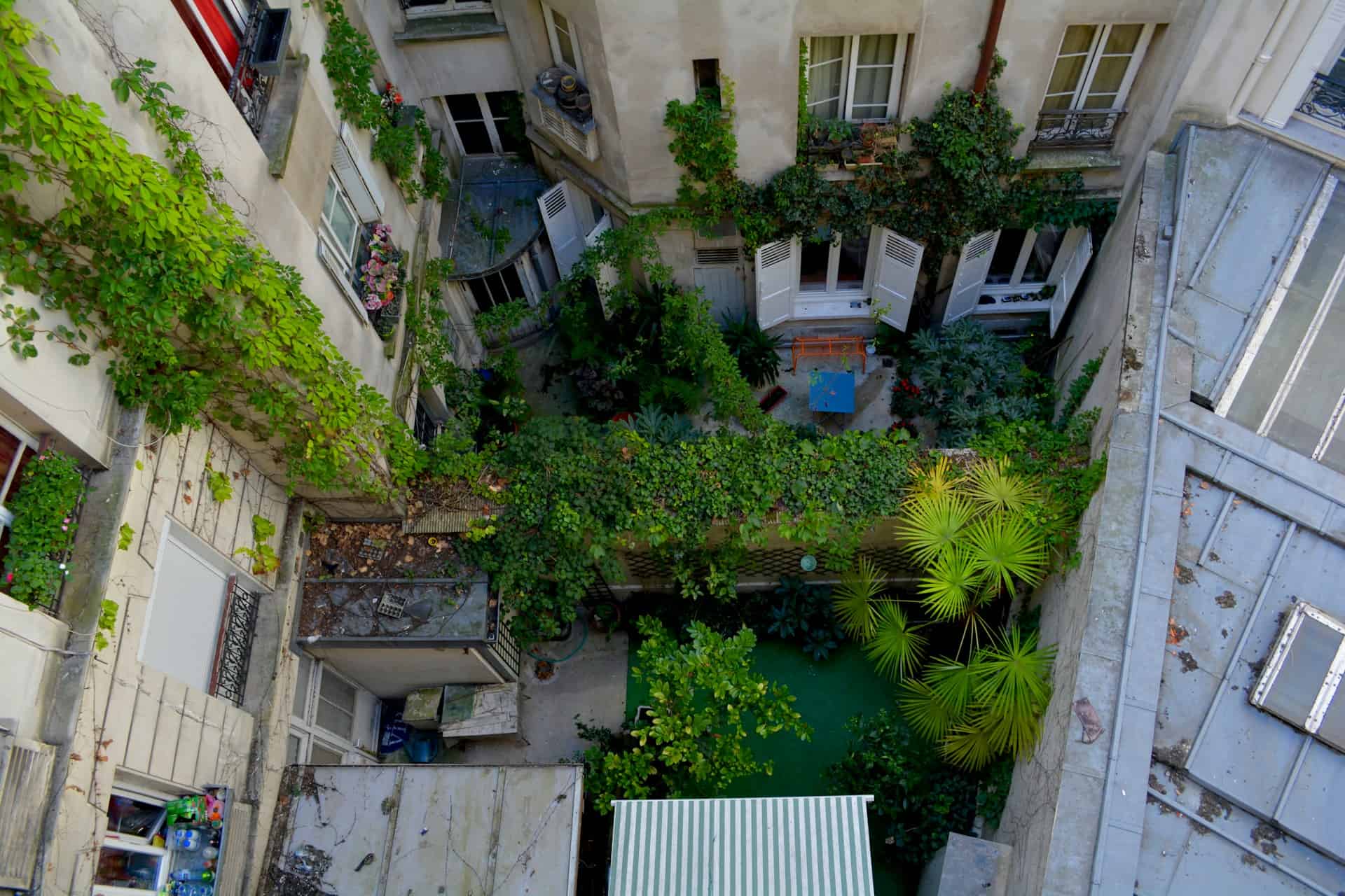 French apartment block with lots of plants