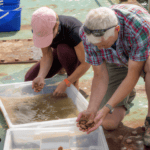 Harriet and Rod with the oysters