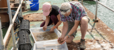 Harriet and Rod with the oysters