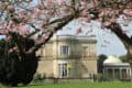 Northwood House with cherry blossom