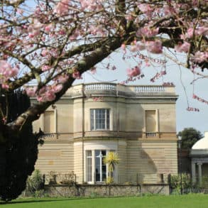 Northwood House with cherry blossom