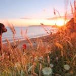 A dog at Brook Bay looking towards the sunset by visit isle of wight