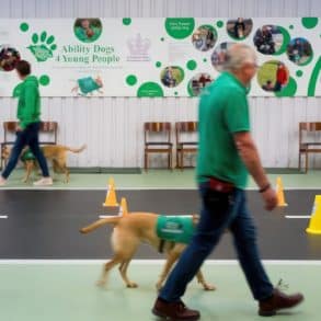 Volunteers taking part in Ability Dog Training