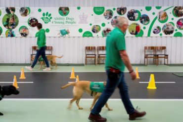 Volunteers taking part in Ability Dog Training