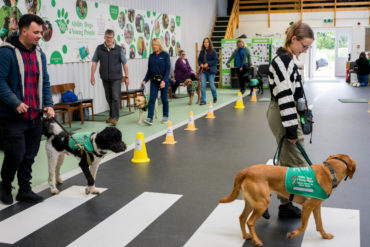 Ability dogs 4 young people - dogs being walked around obstacles