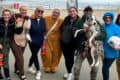 Women taking part in the Barefoot walk dressed in bear outfits