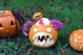 Cowes Primary school's Contender Pumpkins