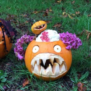 Cowes Primary school's Contender Pumpkins