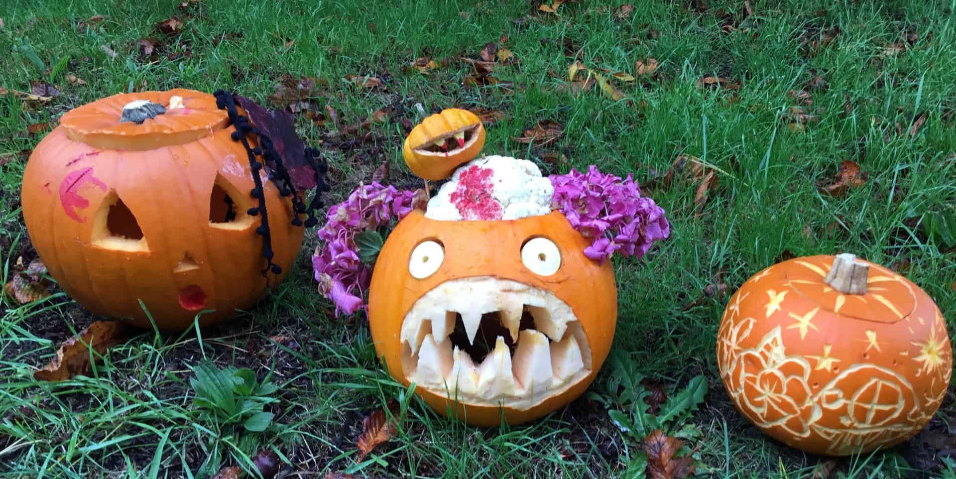 Cowes Primary school's Contender Pumpkins