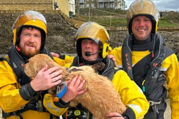 Freshwater lifeboat crew with the Ted the dog after the rescue