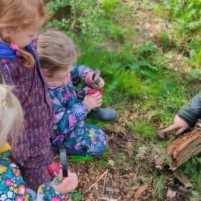 Little Wild Hearts bug hunting in the woods