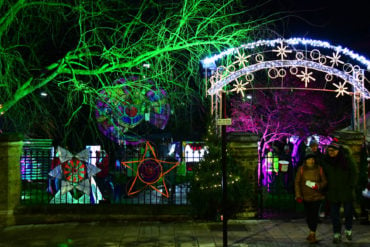 Merry and Bright Gardens - decorated with lights and lanterns