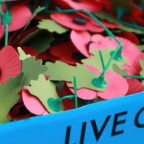 A box of Remembrance Poppies