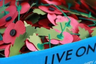 A box of Remembrance Poppies