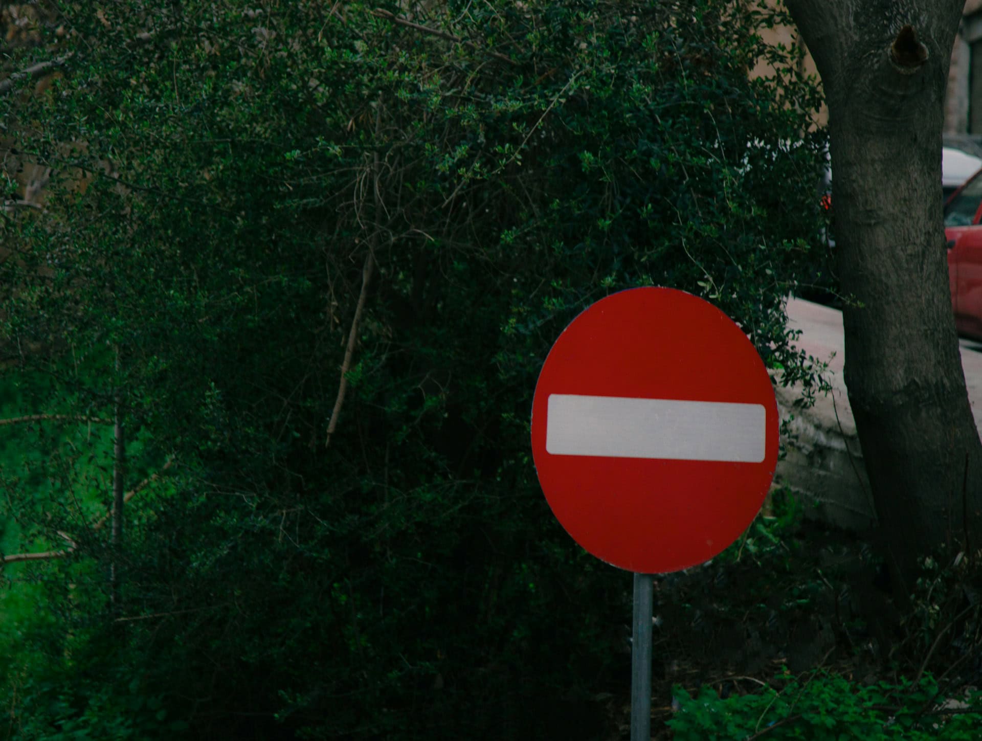 no entry sign with woodland behind it