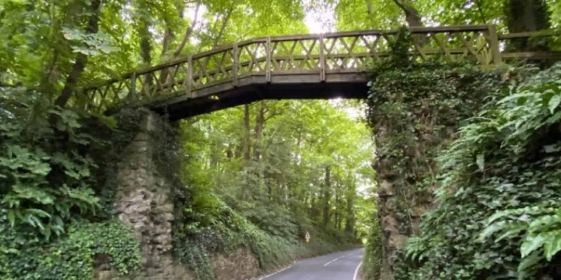 white lady bridge - a wooden bridge that runs across Shorwell Shute