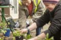 Two women doing some planting as part of a community gardening scheme