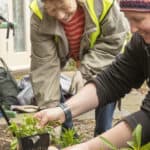 Two women doing some planting as part of a community gardening scheme