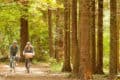 Couple cycling through woodland