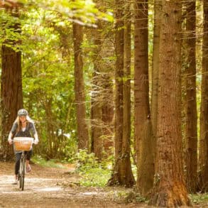 Couple cycling through woodland