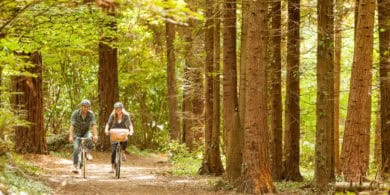 Couple cycling through woodland